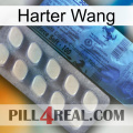 Hard Wang 34